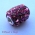 Cylindrical Bead Studded with Rhinestones